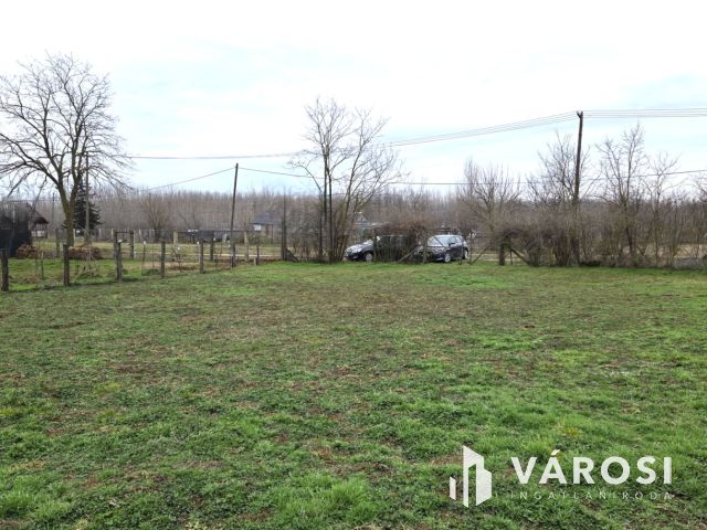 Tip-Top telek jó áron Mikepércs keleti részén