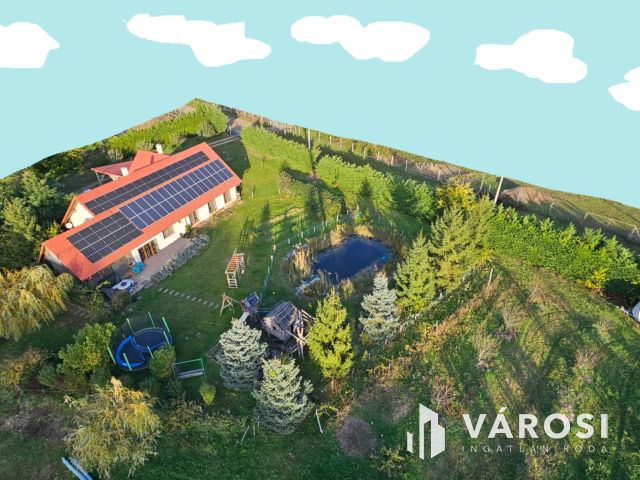 Álombirtok Pesthez közel