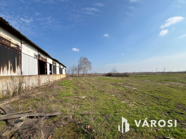 Debrecen Autópálya Közelében 27000 NM Telephely!