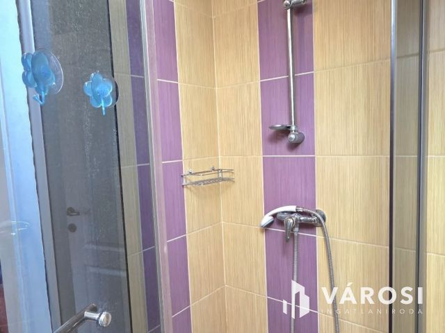 Családi ház és apartmanház a fürdő közelében-Hajdúszoboszló